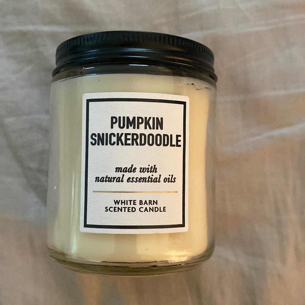 Bath & Body Works Pumpkin Snickerdoodle Single Wick Candle